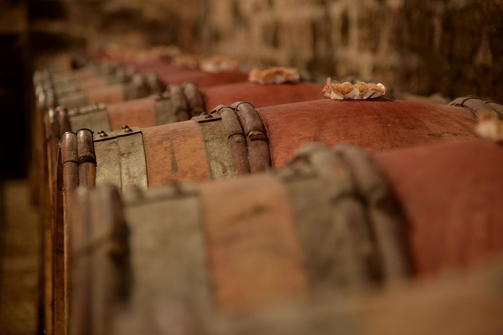 Full-Day Private Tour, 6 Premiers & Grands Crus, The Best of Burgundy