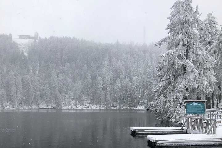 Black Forest Day Tour