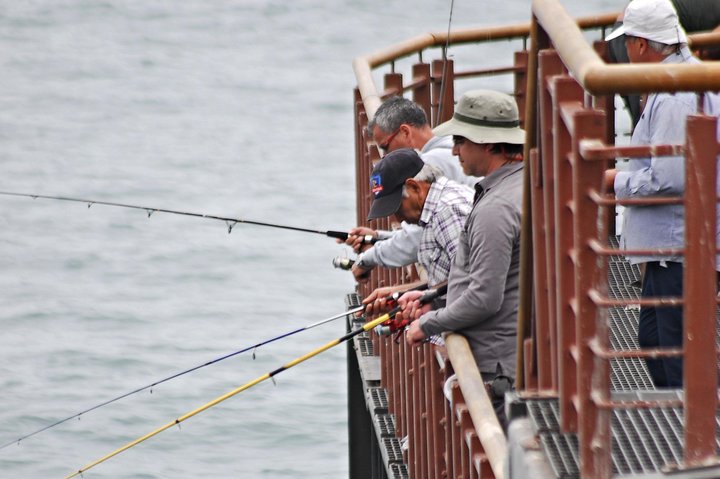 Famous Viña del Mar! Premium Walking Tour with a Native Guide