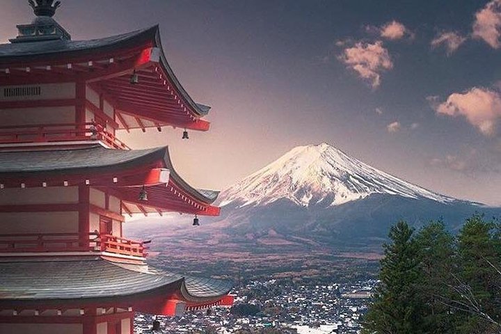 Private Tour to Mt. Fuji and Hakone (Fully Licensed Operator)