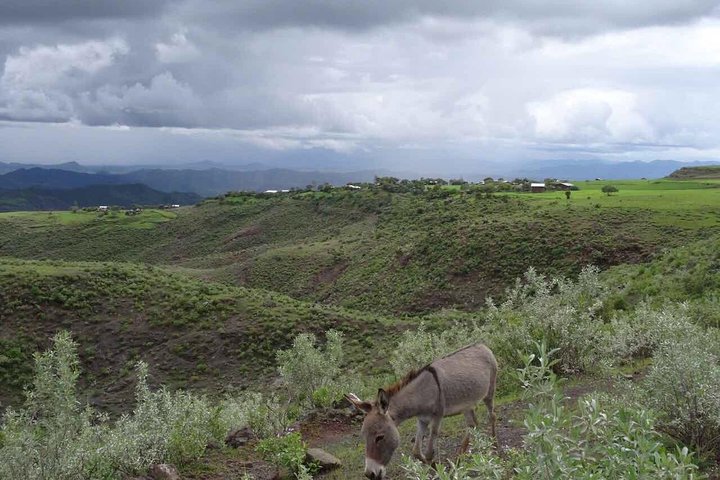 Lalibela churches Guided Tour