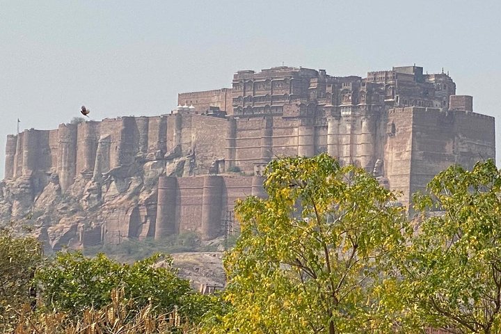 Mehrangarh Fort and Blue City Historic Tour with Local Guide
