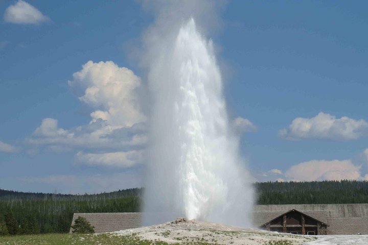 Yellowstone National Park - Full-Day Lower Loop Tour from Jackson