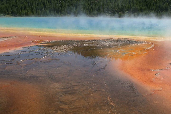 Yellowstone National Park - Full-Day Lower Loop Tour from Jackson
