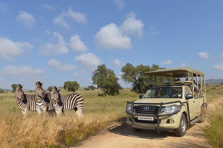 Half Day Lion Park tour from Johannesburg or Pretoria