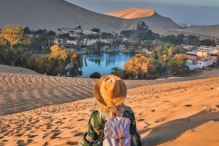 Full Day Paracas Ica and Huacachina from Lima All Included
