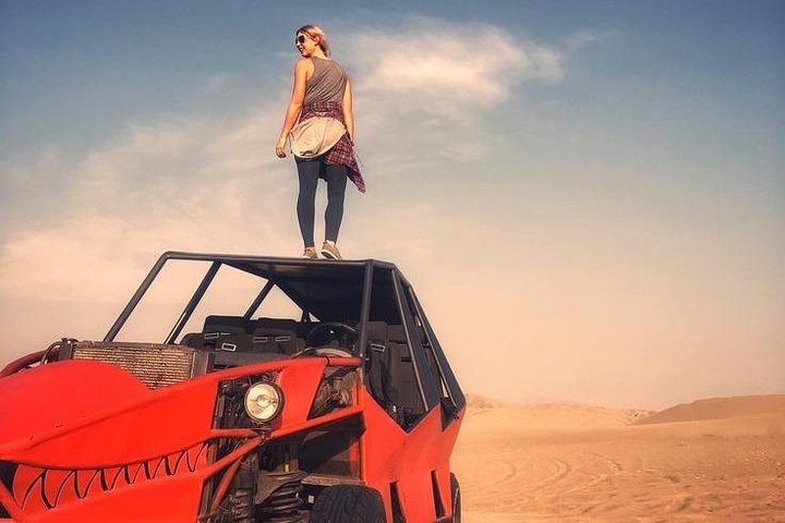 Full Day Paracas Ica and Huacachina from Lima All Included