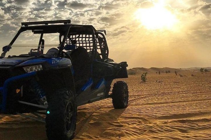 Full Day Paracas Ica and Huacachina from Lima All Included