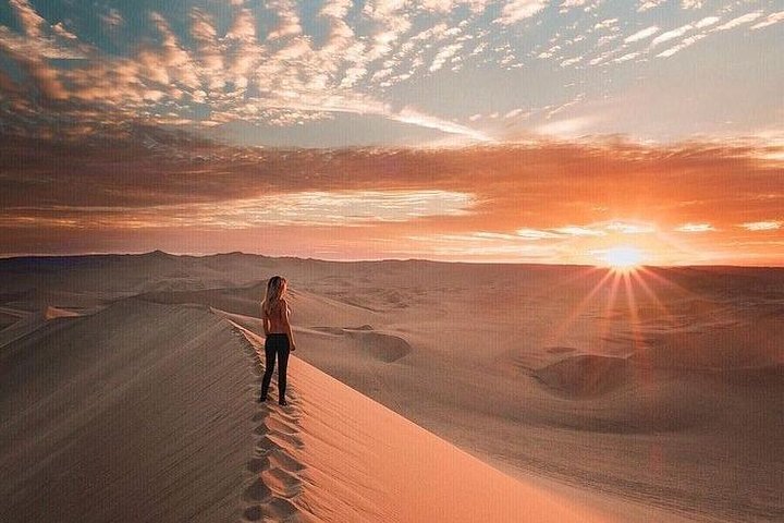 Full Day Paracas Ica and Huacachina from Lima All Included