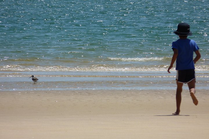 4 Stops | 3 Islands & Ria Formosa Natural Park - From Faro