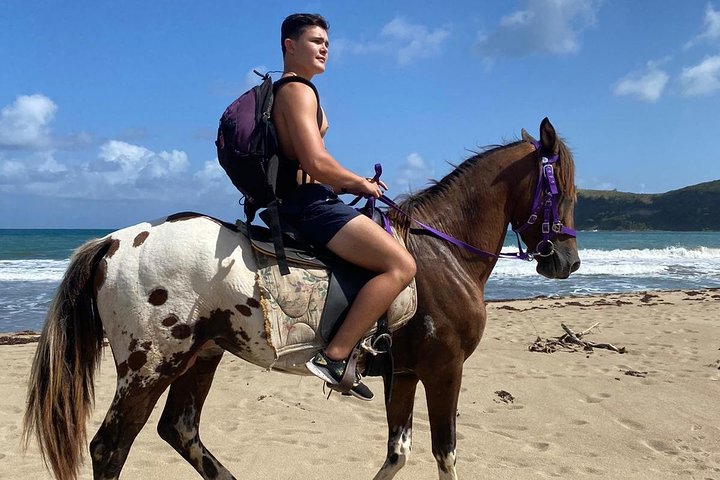 Nature & Historical Horseback Riding Tours St. Lucia