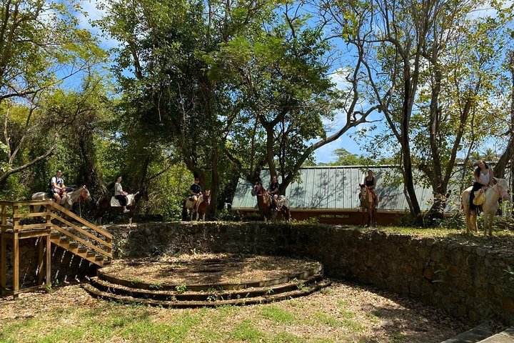 East Coast Horseback Riding & Waterfall Excursion