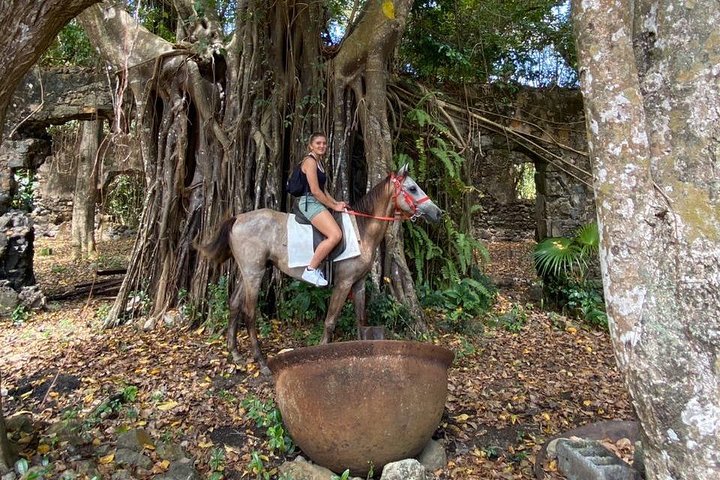 Nature & Historical Horseback Riding Tours St. Lucia