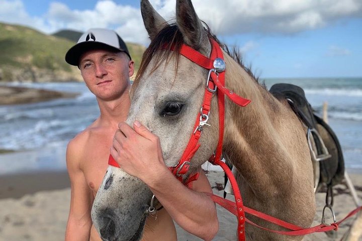 East Coast Horseback Riding & Waterfall Excursion