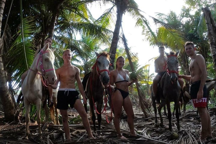 East Coast Horseback Riding & Waterfall Excursion