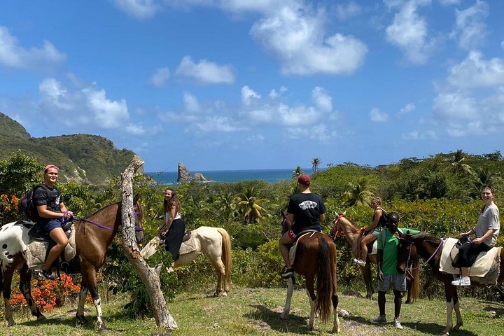 East Coast Horseback Riding & Waterfall Excursion