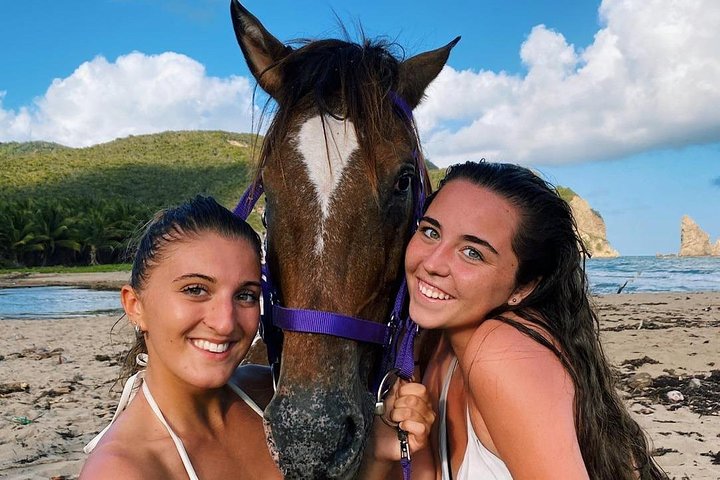 East Coast Horseback Riding & Waterfall Excursion