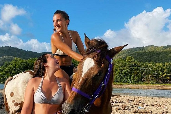 East Coast Horseback Riding & Waterfall Excursion