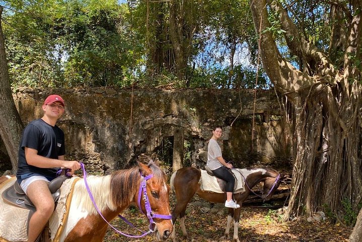 East Coast Horseback Riding & Waterfall Excursion