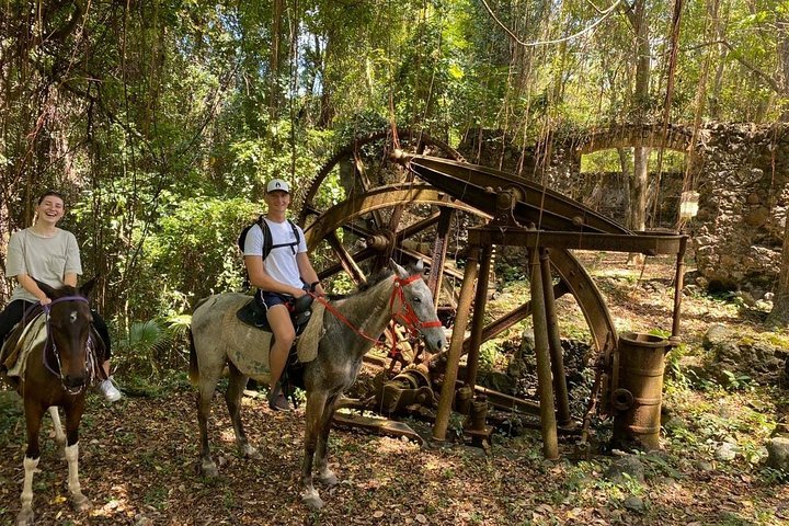 East Coast Horseback Riding & Waterfall Excursion