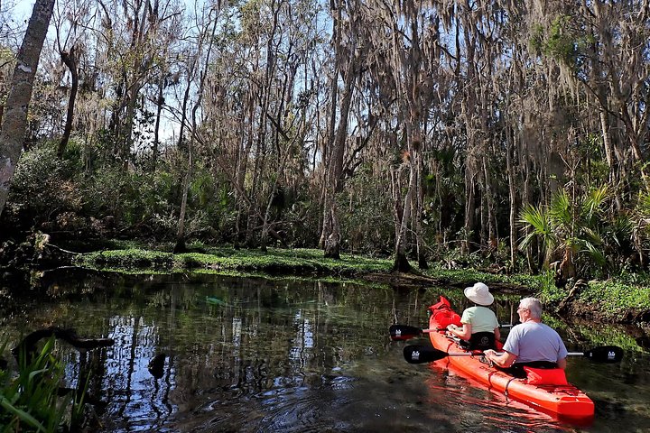 Three Sisters Springs Kayak And Swim Eco-Tour Crystal River