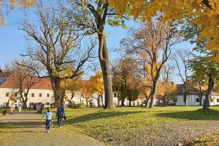Targu Mures 3 hours walking tour