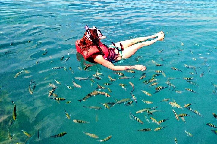 Koh Samui: Private Speedboat Koh Taen & Pig Island Snorkeling
