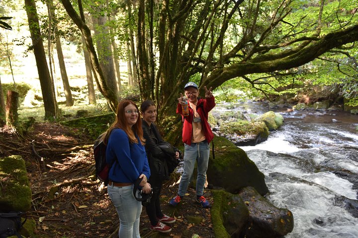 Aso Caldera and Farm Experience Tour