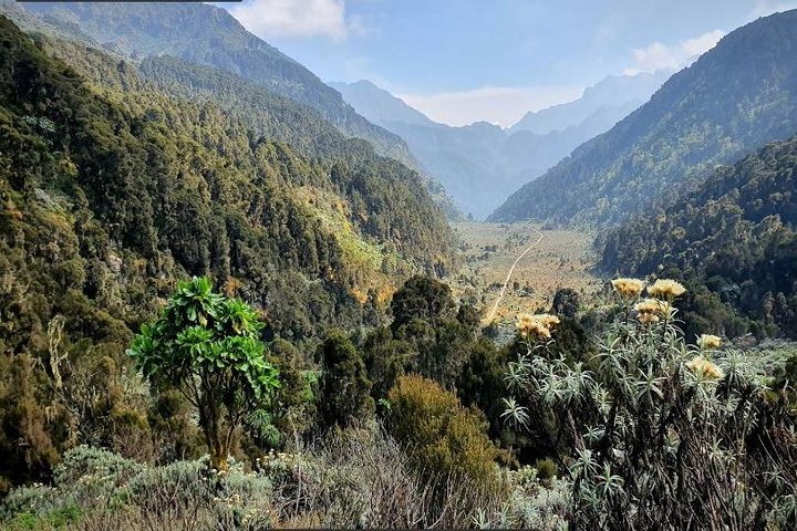 7 Days DR Congo Rwenzori Mountain hiking – Panoramic Views (4462 m alt)