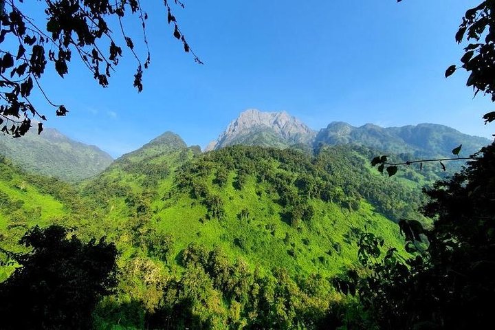 7 Days DR Congo Rwenzori Mountain hiking – Panoramic Views (4462 m alt)