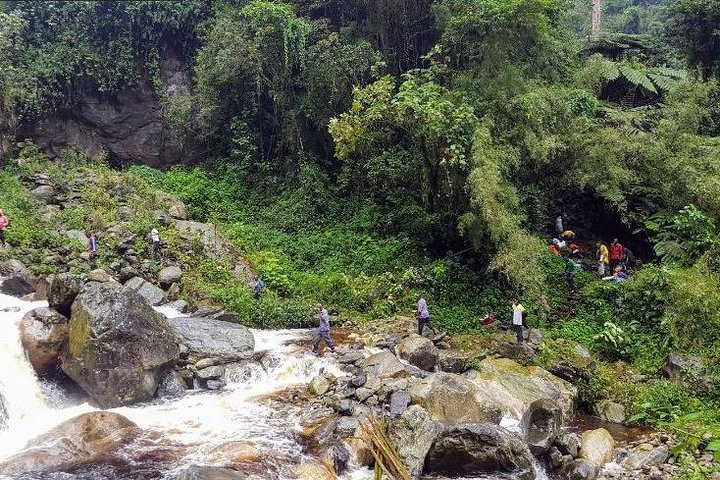 7 Days DR Congo Rwenzori Mountain hiking – Panoramic Views (4462 m alt)