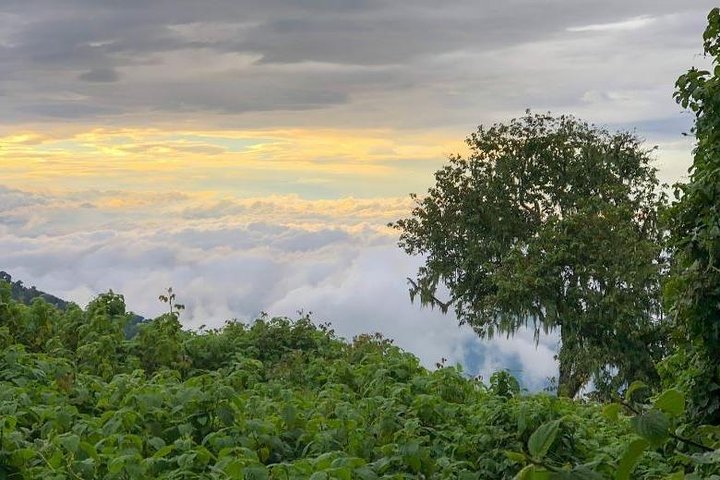 7 Days DR Congo Rwenzori Mountain hiking – Panoramic Views (4462 m alt)