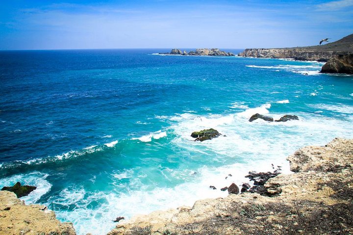 Isla de la Plata Snorkeling Tour – Machalilla National Park