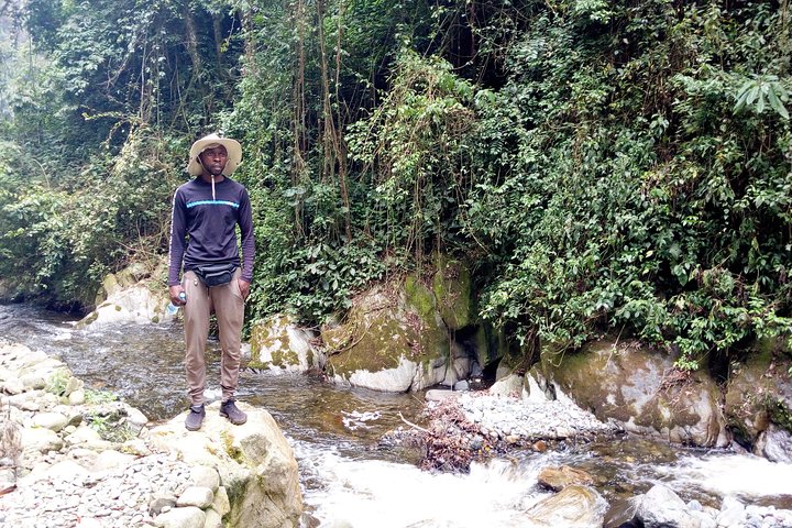 7 Days DR Congo Rwenzori Mountain hiking – Panoramic Views (4462 m alt)