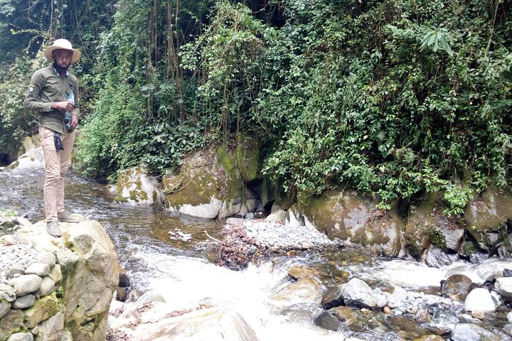 7 Days DR Congo Rwenzori Mountain hiking – Panoramic Views (4462 m alt)