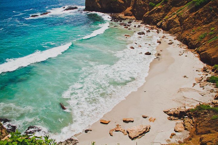 Isla de la Plata Diving & Whale Watching Adventure