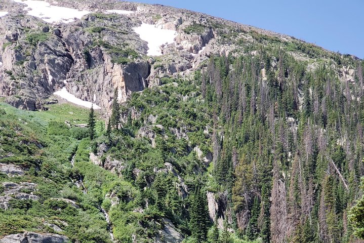 Private and Personalized Three Hour Morning Tour of Rocky Mountain National Park