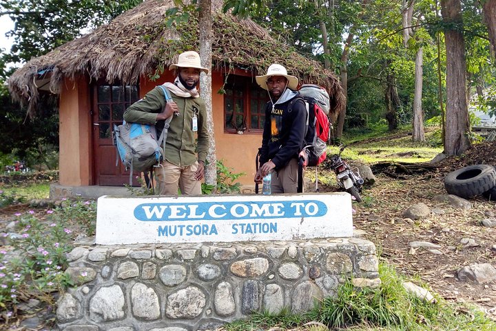 7 Days DR Congo Rwenzori Mountain hiking – Panoramic Views (4462 m alt)