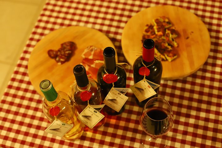 Wine Experience: vineyard, wines and food