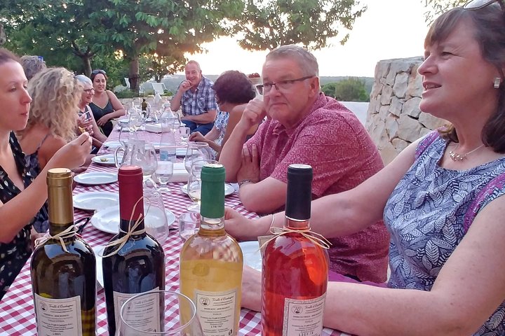 Wine Experience: vineyard, wines and food