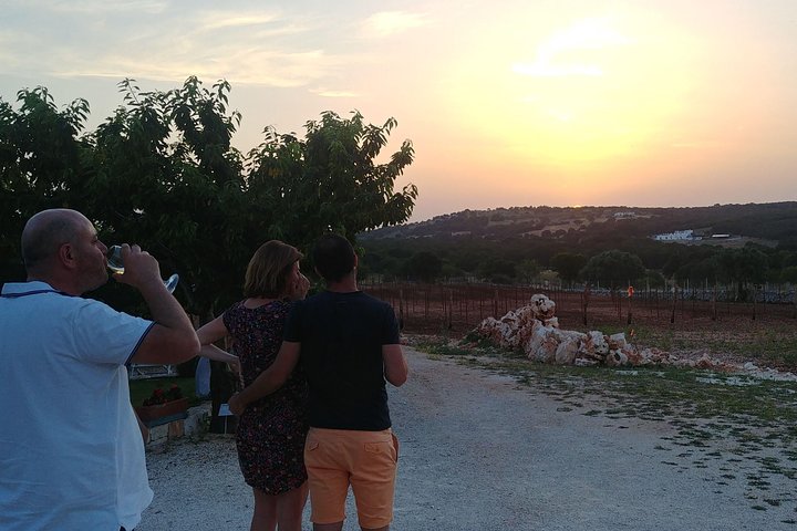 Wine Experience: vineyard, wines and food