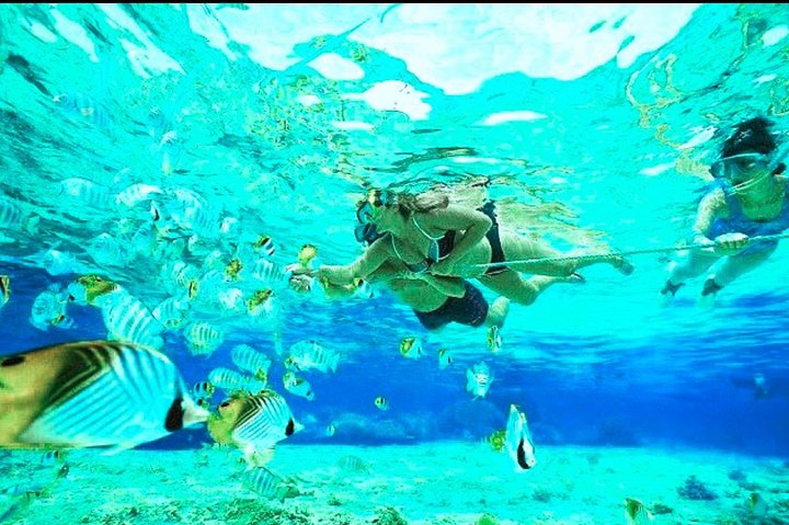 All Inclusive : Bali Blue Lagoon Snorkeling, Lunch, and Transport