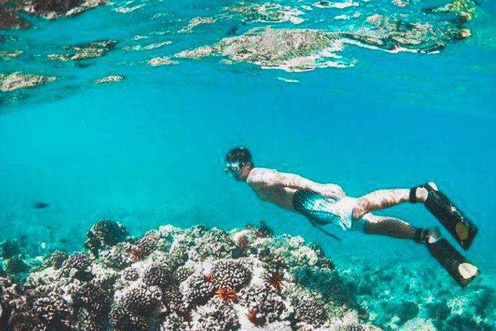 All Inclusive : Bali Blue Lagoon Snorkeling, Lunch, and Transport