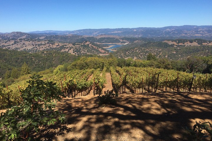 8-Hour Exclusive Wine Tour Experience for up to 6 Guests / Napa-Sonoma