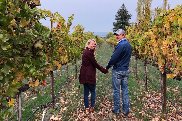 8-Hour Exclusive Wine Tour Experience for up to 6 Guests / Napa-Sonoma