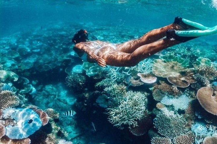All Inclusive : Bali Blue Lagoon Snorkeling, Lunch, and Transport