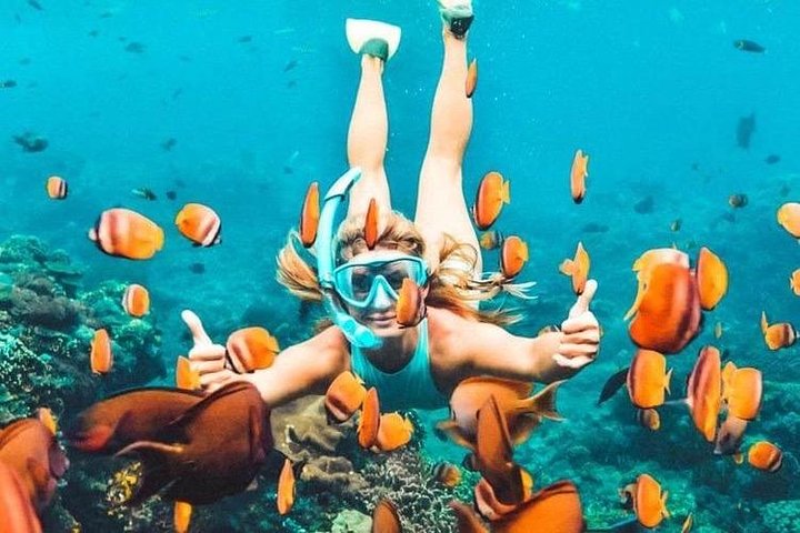 All Inclusive : Bali Blue Lagoon Snorkeling, Lunch, and Transport