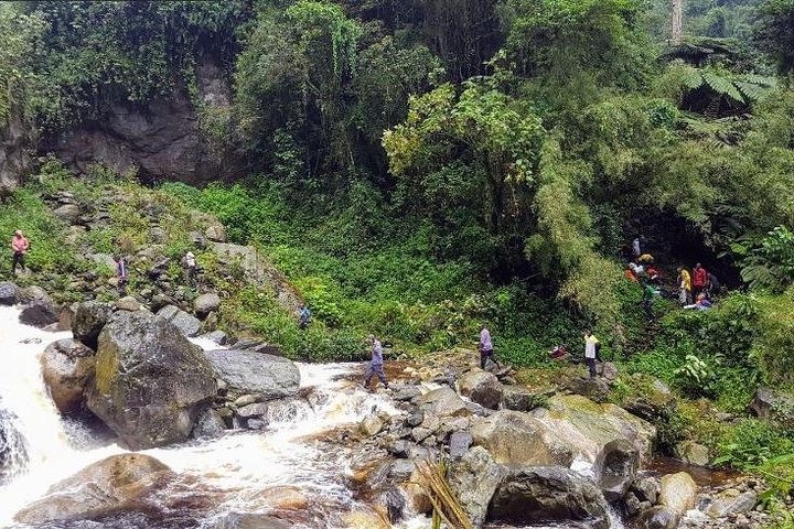 8 Days DR Congo Rwenzori Mountains hiking – Touching the Glacier (4350m alt)