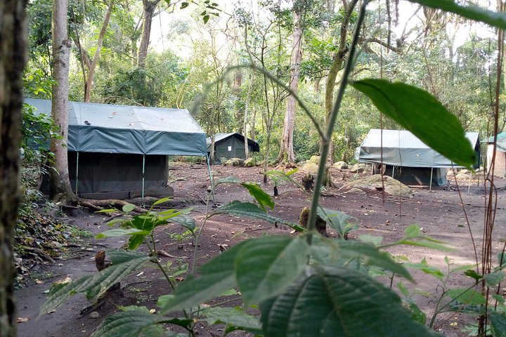 8 Days DR Congo Rwenzori Mountains hiking – Touching the Glacier (4350m alt)