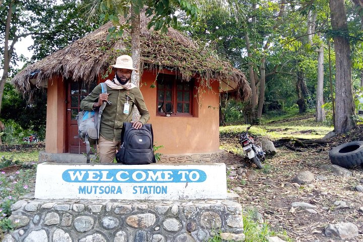 8 Days DR Congo Rwenzori Mountains hiking – Touching the Glacier (4350m alt)